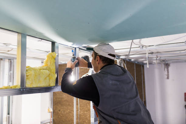 Best Specialized Insulation Services in Heritage Lake, IL