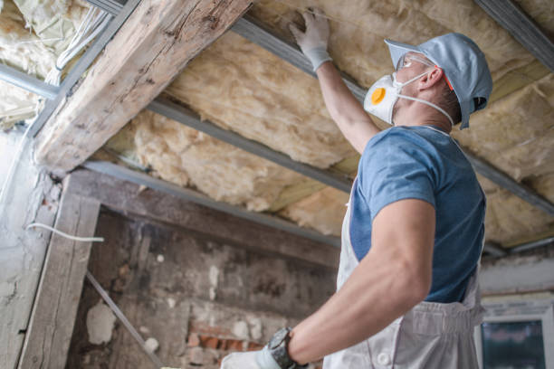 Best Residential Insulation in Heritage Lake, IL